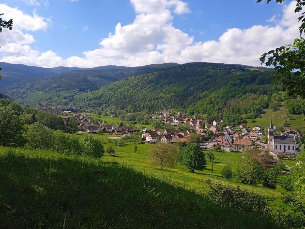 Le Gite Des Kritter Stosswihr Zewnętrze zdjęcie